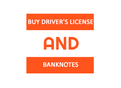 Buy Drivers License and Banknotes